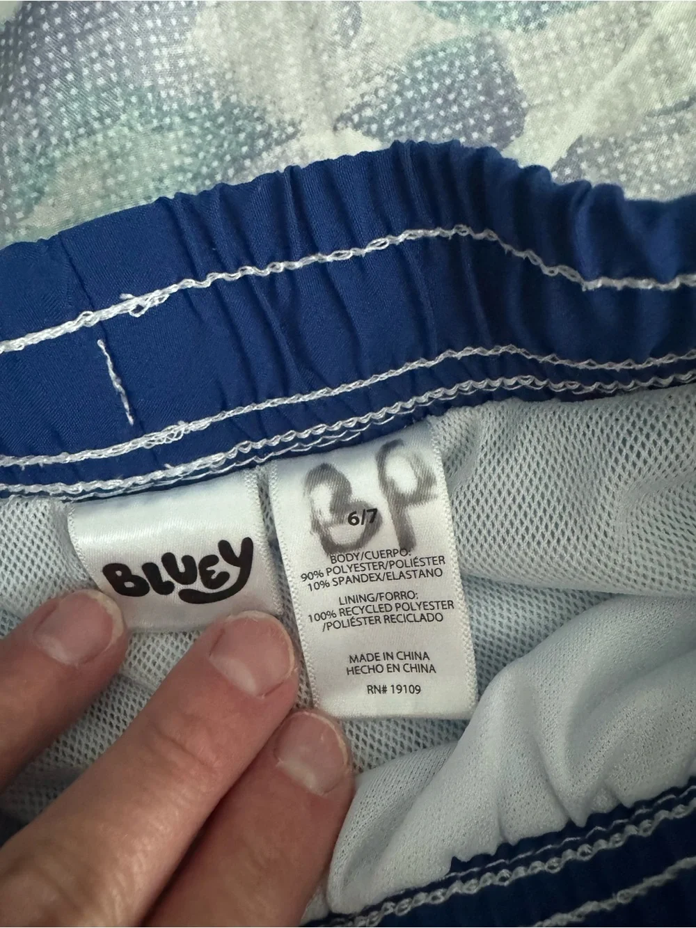 Boys Bluey Swim Trunks